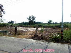 ขาย ที่ดิน เหมาะจัดสรรแบ่งขาย, ที่ดินธัญบุรีคลอง6,หรือปทุมธานี เหมาะทำหมู่บ้านจัดสรร ขายถูก โครงการเชิงพาณิชย์