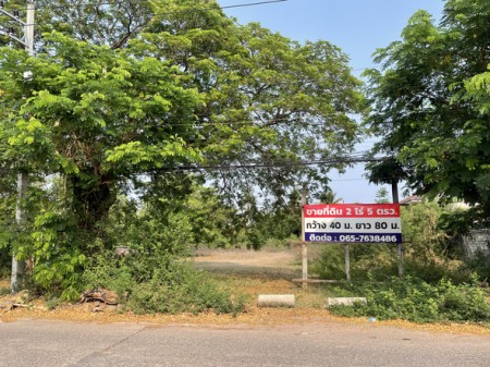 ที่ดิน ขาย เหมาะเก็งกำไร ทำเลทองอุดรธานี ใจกลางเมืองอุดรธานี ที่ดินโฉนดครุฑแดง เหมาะพัฒนาโครงการอสังหา