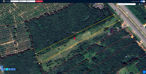 ที่ดิน ขาย ติดถนนเพชรเกษม ที่ดินพัทลุงราคาถูก อสังหาพัทลุงราคาคุ้มสุด ที่ดินป่าบอนถูกกว่าใกล้เคียง พร้อมไฟฟ้าน้ำประปา